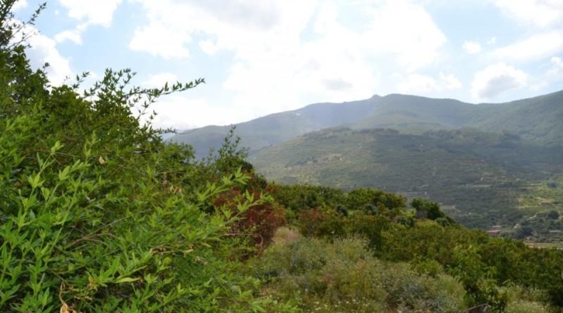 Cáceres - Navaconcejo - 2626m2