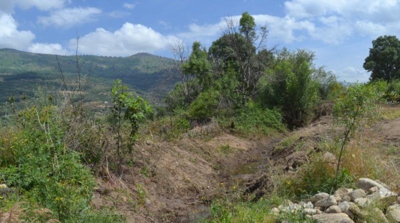 Cáceres - Navaconcejo - 2626m2