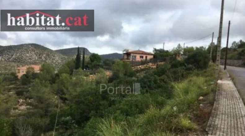 Barcelona - Olivella - 350m2