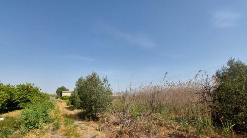 Múrcia - Murcia - 3264m2