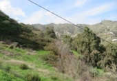 Non-developable land for sale on España, Teror, ref: TR121931 photo