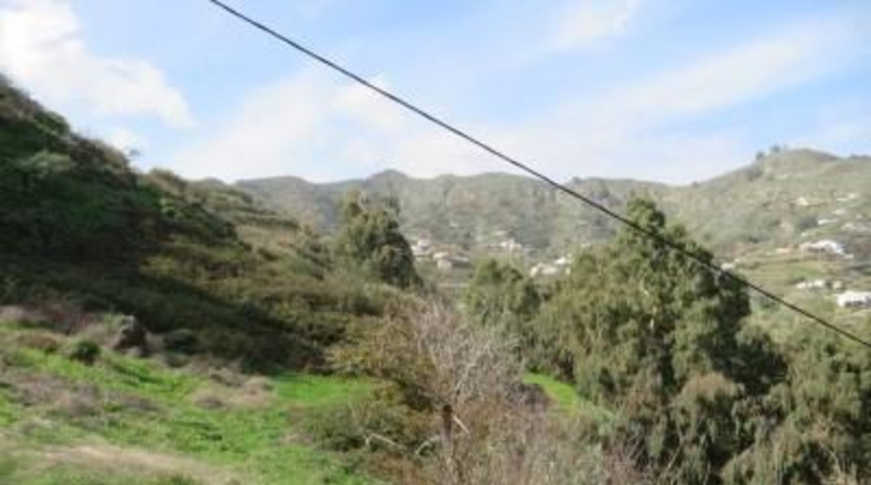 Las Palmas - Teror - 4288m2