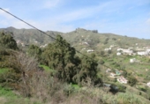 Non-developable land for sale on España, Teror, ref: TR121931 photo