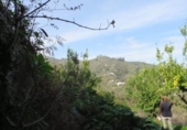 Non-developable land for sale on España, Teror, ref: TR121931 photo