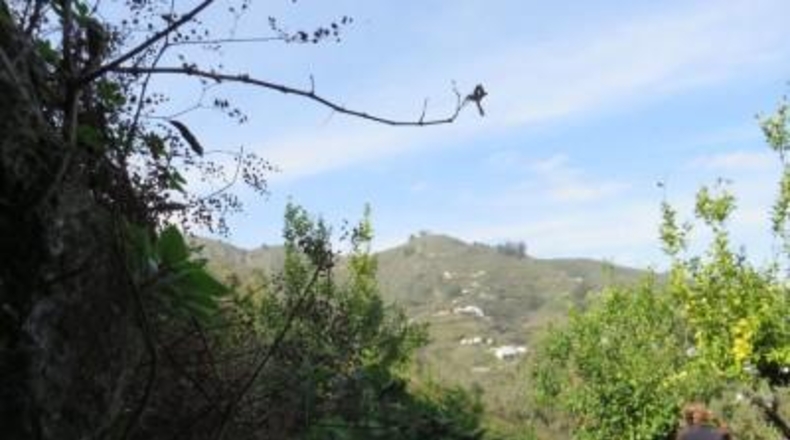 Las Palmas - Teror - 4288m2