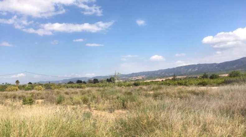 Múrcia - Librilla - 2000m2