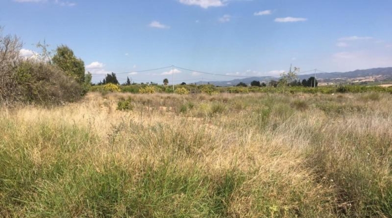 Múrcia - Librilla - 2000m2