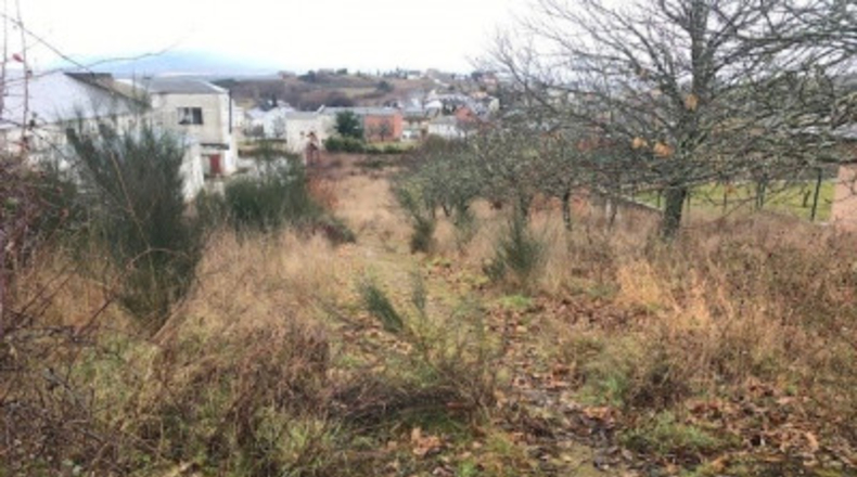 Leon - Cabañas Raras - 1680m2