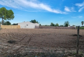 Utrera 2500&nbsp;m² 