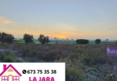 Terreno no urbanizable en venta en la España, Sanlúcar de Barrameda, ref: TR316719 foto