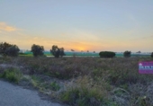 Terreno no urbanizable en venta en la España, Sanlúcar de Barrameda, ref: TR316719 foto