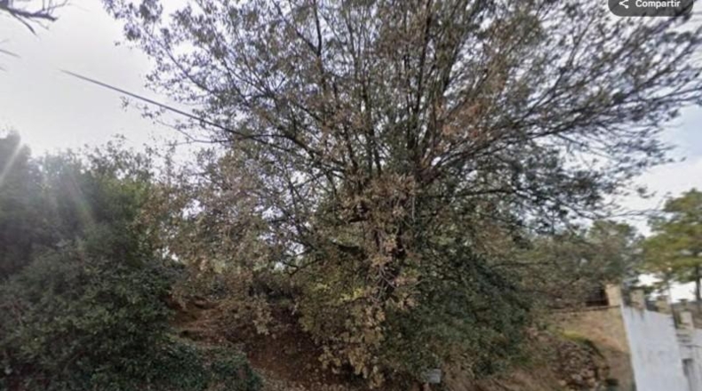 Barcelona - Torrelles de Foix - 646m2