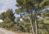 Sòl urbà en venda a la España, Torrelles de Foix, ref.: TR352112 foto