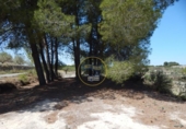 Non-developable land for sale on España, El Palomar, ref: TR129873 photo