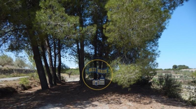 Valencia - el Palomar - 15180m2