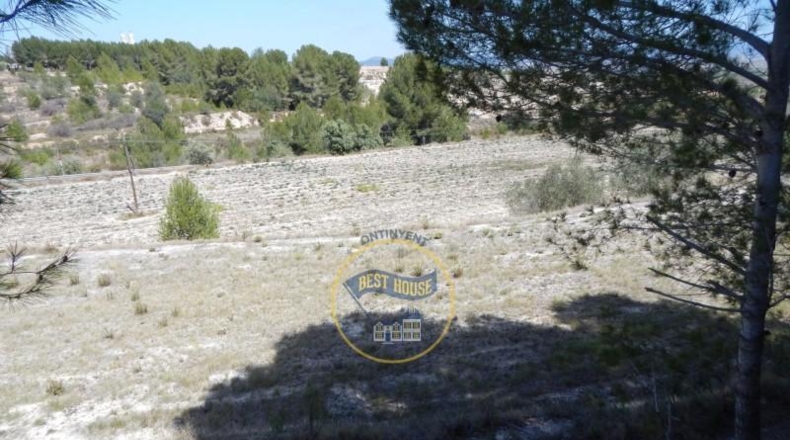 Valencia - el Palomar - 15180m2