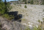 Non-developable land for sale on España, El Palomar, ref: TR129873 photo
