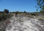 Non-developable land for sale on España, El Palomar, ref: TR129873 photo