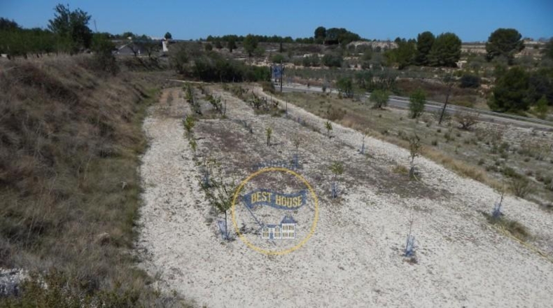 Valencia - el Palomar - 15180m2