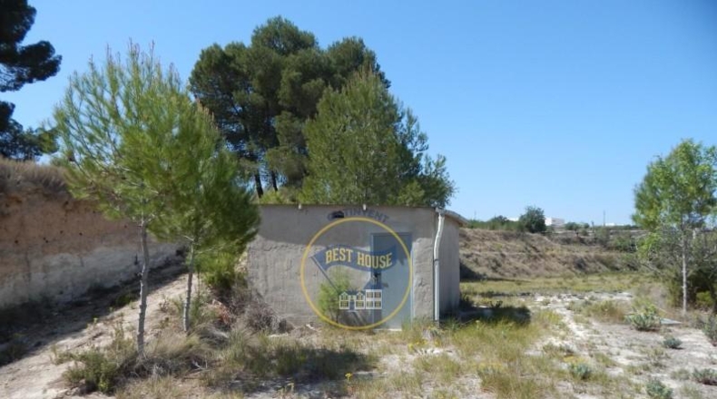 Valencia - el Palomar - 15180m2