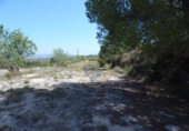 Non-developable land for sale on España, El Palomar, ref: TR129873 photo