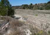 Non-developable land for sale on España, El Palomar, ref: TR129873 photo