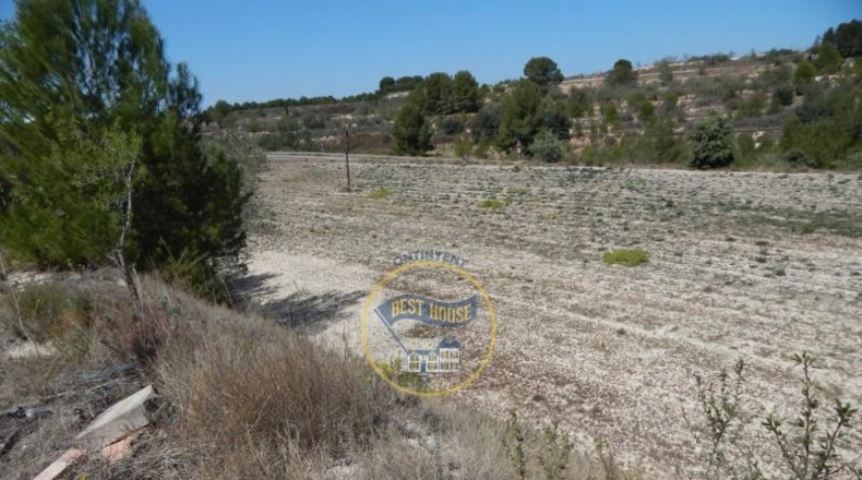 Valencia - el Palomar - 15180m2