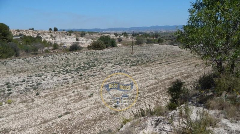 Valencia - el Palomar - 15180m2