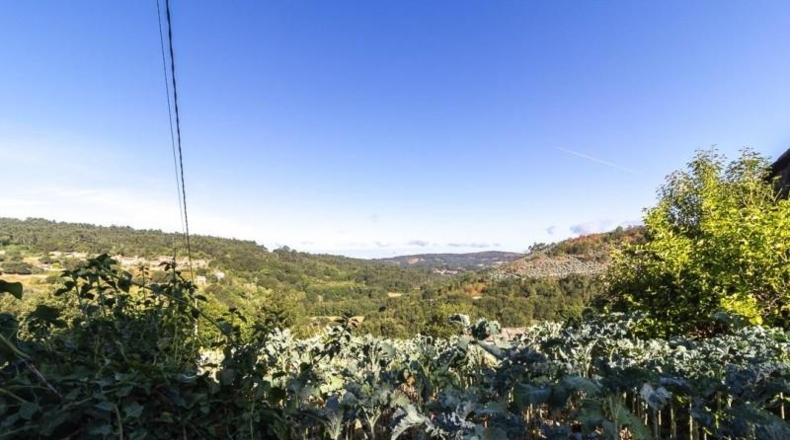 Понтеведра - Cerdedo - 678m2