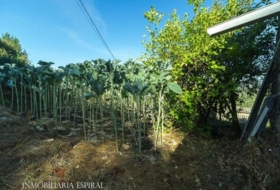 Cerdedo 678&nbsp;m²