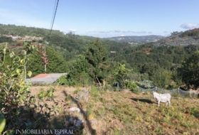 Cerdedo 678&nbsp;m²