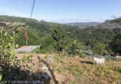 Casa de camp amb terreny en venda a la España, Cerdedo, ref.: TR325899 foto