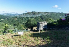 Cerdedo 678&nbsp;m²
