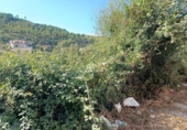 Land suitable for development for sale on España, Castellet, ref: TR336885 photo