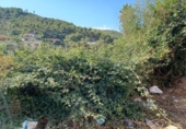 Land suitable for development for sale on España, Castellet, ref: TR336885 photo