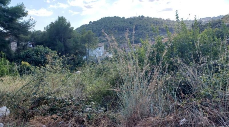 Tarragona - Cunit - 832m2