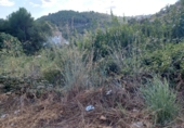 Land suitable for development for sale on España, Castellet, ref: TR336885 photo