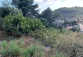 Land suitable for development for sale on España, Castellet, ref: TR336885 photo