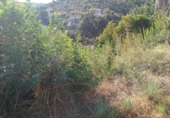 Land suitable for development for sale on España, Castellet, ref: TR336885 photo