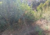 Land suitable for development for sale on España, Castellet, ref: TR336885 photo