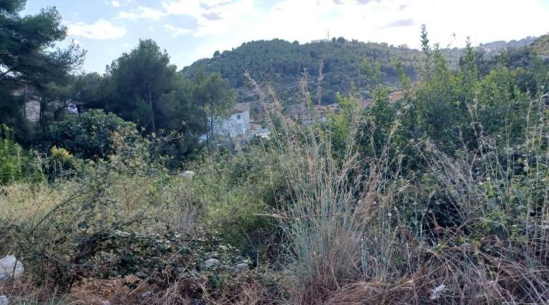 Tarragona - Cunit - 832m2