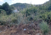 Land suitable for development for sale on España, Castellet, ref: TR336885 photo
