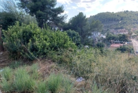 Foto 13