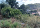 Land suitable for development for sale on España, Castellet, ref: TR336885 photo