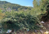Land suitable for development for sale on España, Castellet, ref: TR336885 photo