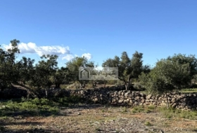 l'Ametlla de Mar 24000&nbsp;м²