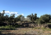 Non-developable land for sale on España, l'Ametlla de Mar, ref: TR362830 photo
