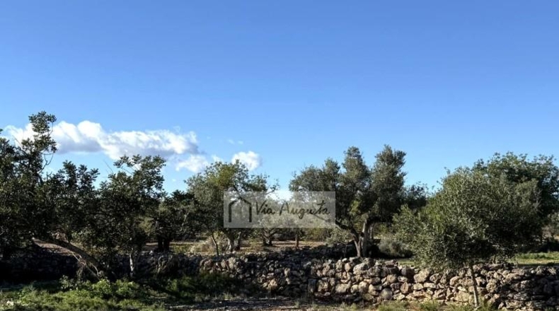 Tarragona - l'Ametlla de Mar - 24000m2
