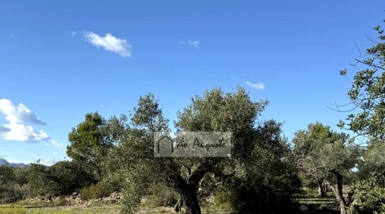 Tarragona - l'Ametlla de Mar - 24000m2