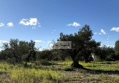 Non-developable land for sale on España, l'Ametlla de Mar, ref: TR362830 photo